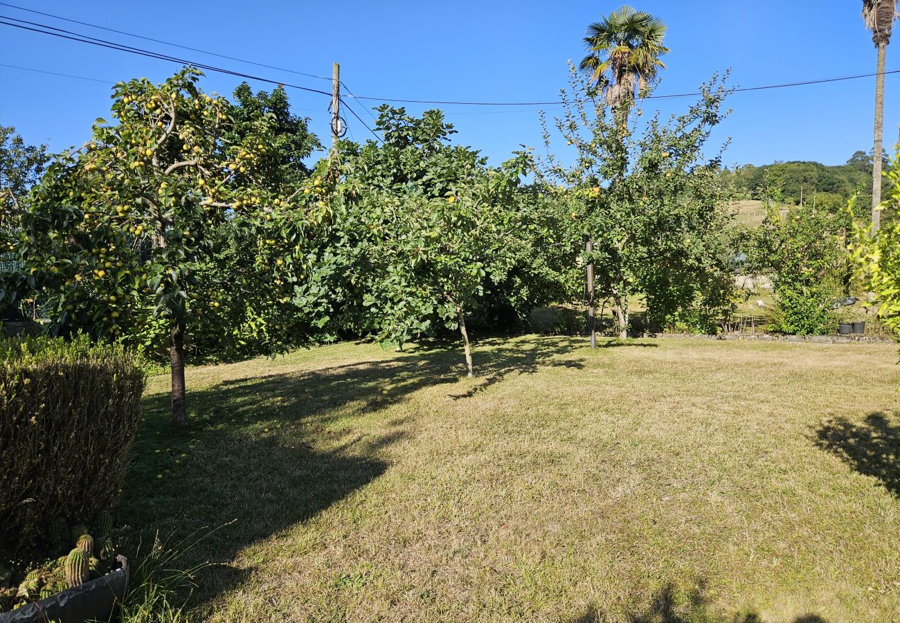Apartamento en Siero - 19A03 Tierra de Anarbel, pareado con jardín cerca