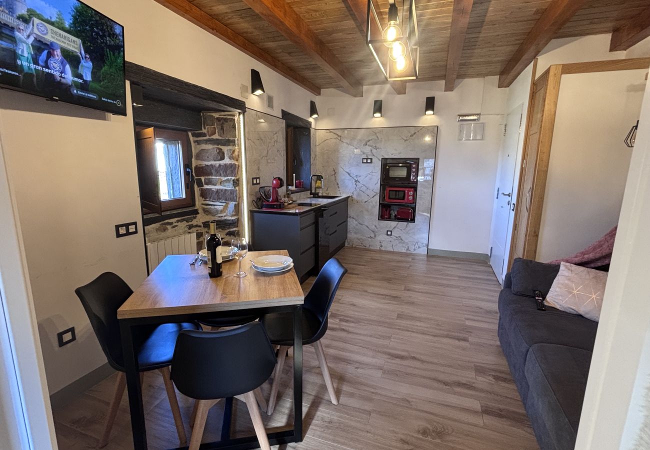 Apartamento en Allande - 27A01 Casa Uría - Camino de Santiago