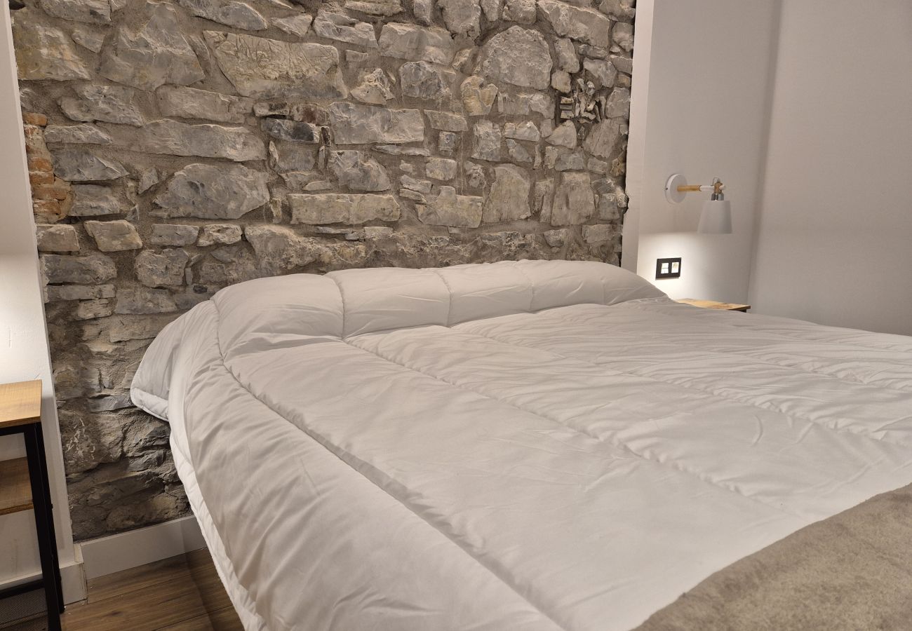 Apartamento en Gijón - 119A2  Apartamento en pleno centro de Gijon