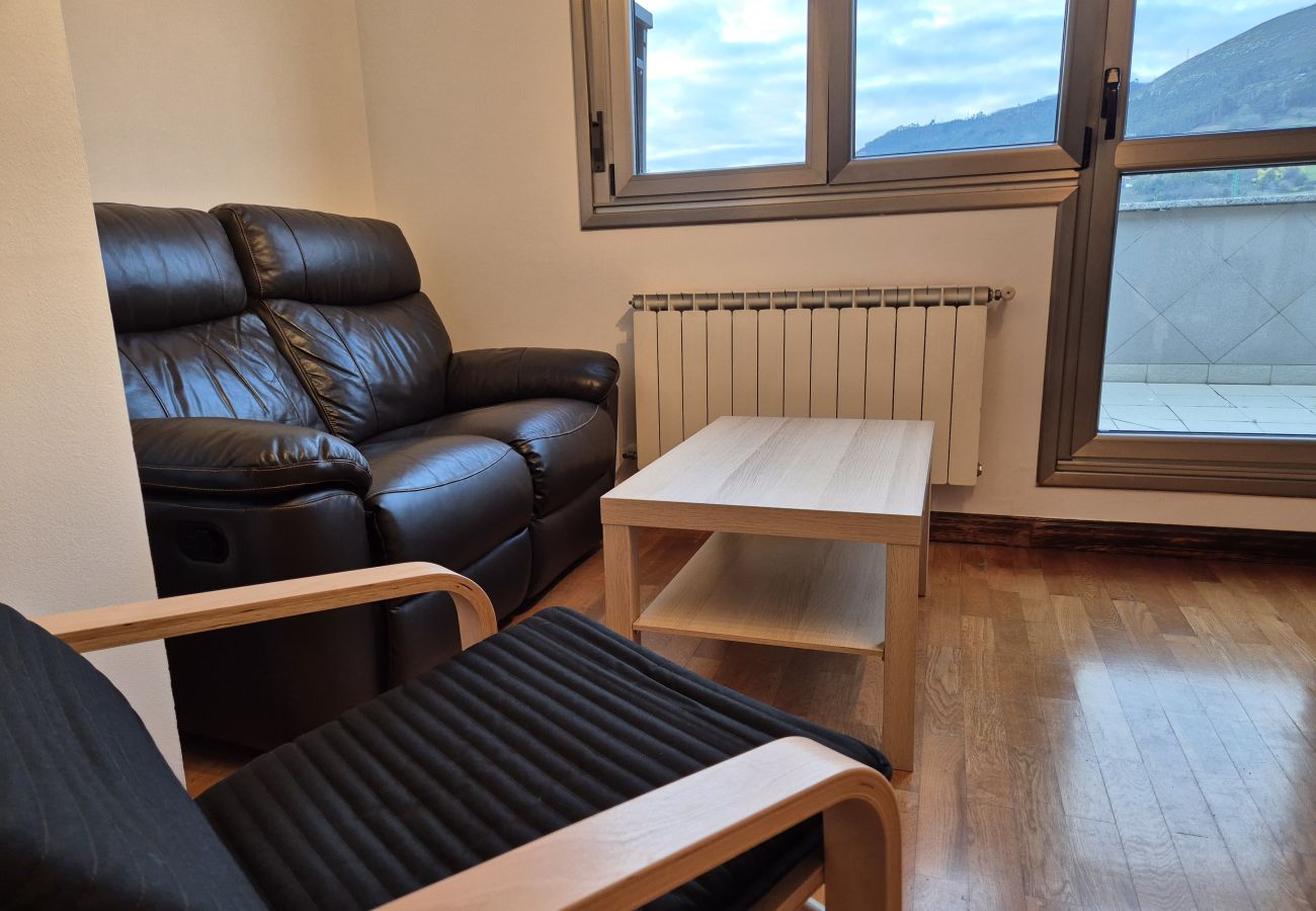 Apartamento en Oviedo - 654A El Ático de la Alameda