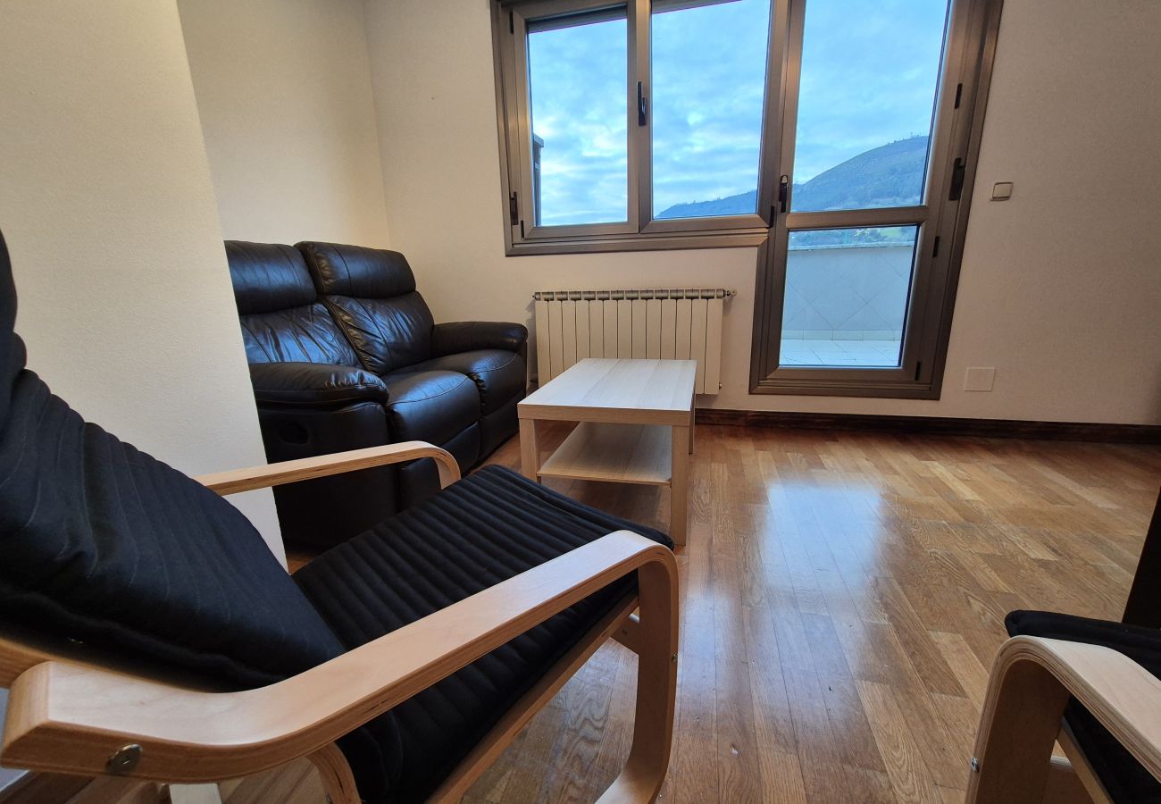 Apartamento en Oviedo - 654A El Ático de la Alameda