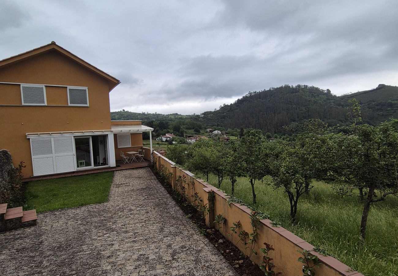 Apartamento en Oviedo - 34A02 Casa en Las Caldas