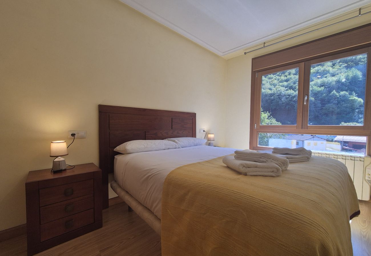 Apartamento en Aller - 21A07 Apartamento en Felechosa