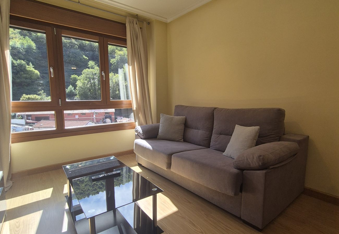 Apartamento en Aller - 21A07 Apartamento en Felechosa