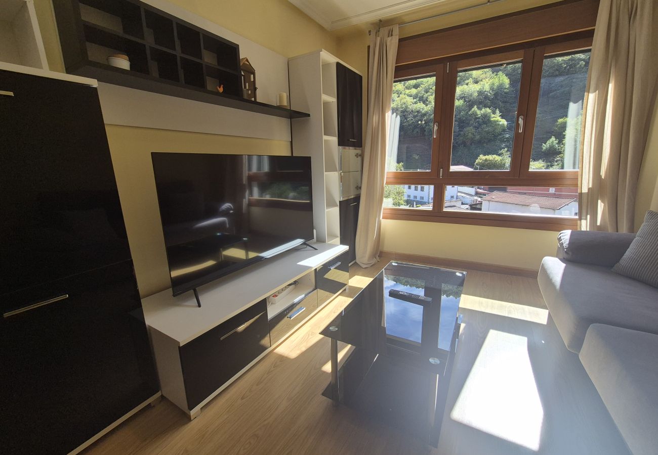Apartamento en Aller - 21A07 Apartamento en Felechosa