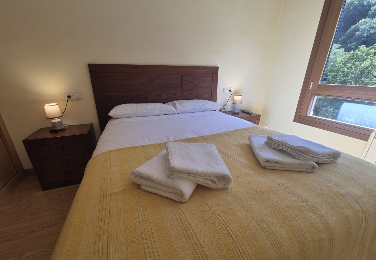 Apartamento en Aller - 21A07 Apartamento en Felechosa