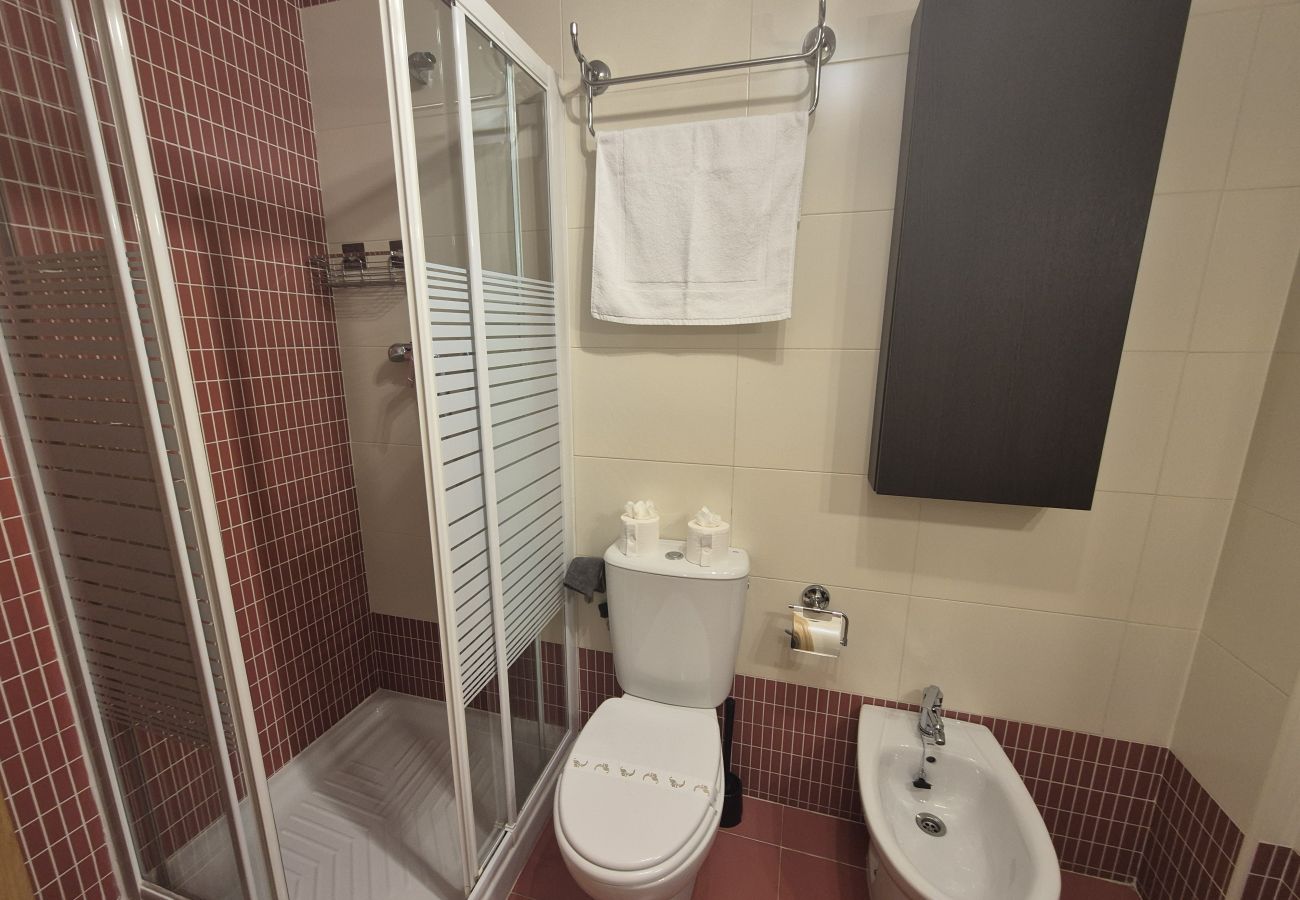 Apartamento en Aller - 21A07 Apartamento en Felechosa