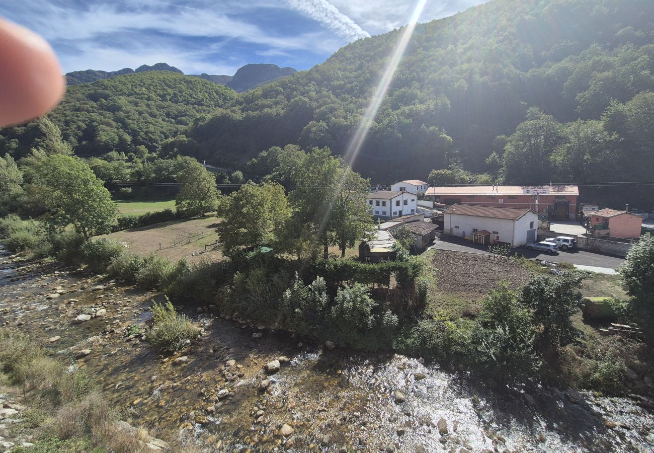 Apartamento en Aller - 21A07 Apartamento en Felechosa